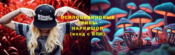 крисы Новодвинск