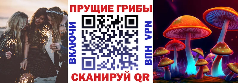 Галлюциногенные грибы MAGIC MUSHROOMS  купить наркоту  Ярцево 