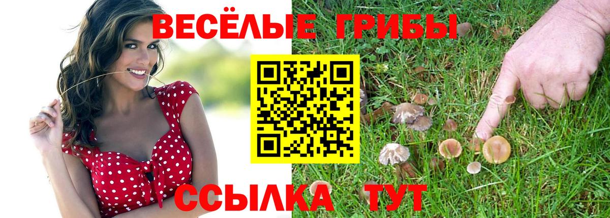 Галлюциногенные грибы ЛСД  Ярцево  Галлюциногенные грибы мицелий 