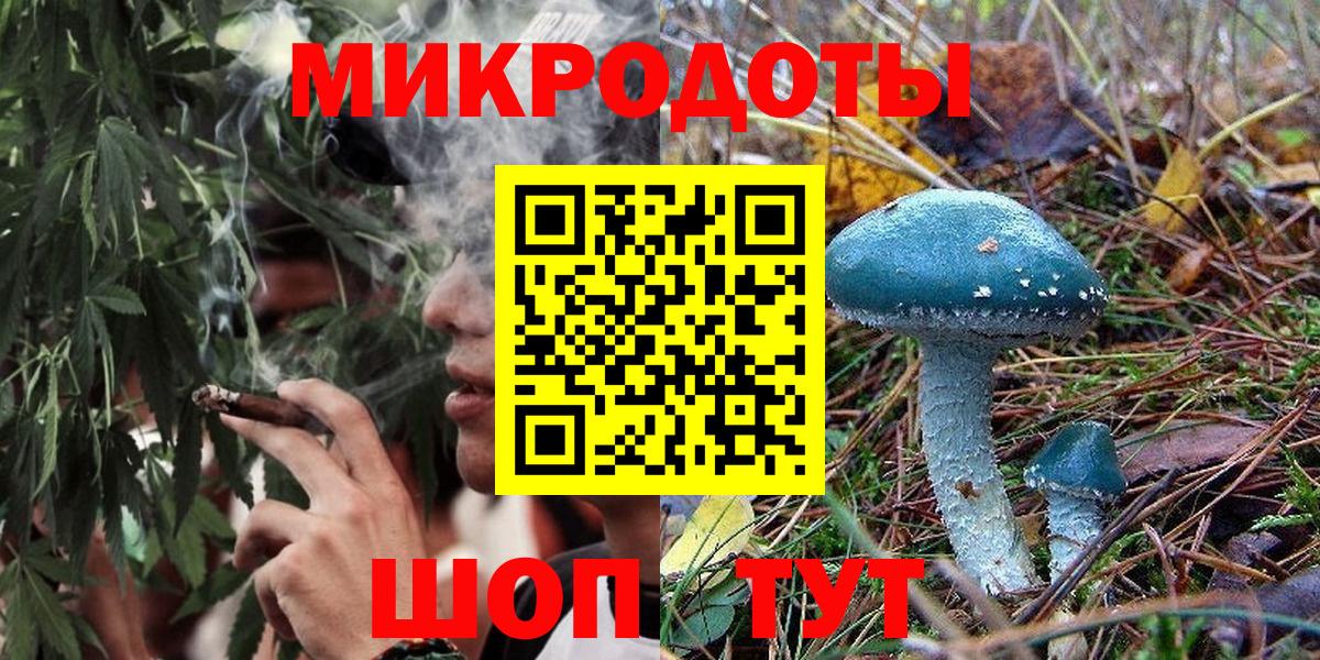 Псилоцибиновые грибы мицелий Ярцево