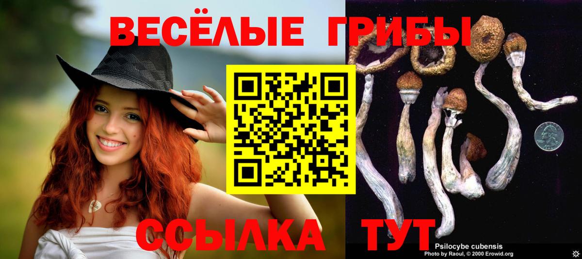 купить наркоту  Вход с VPN  Ярцево  Псилоцибиновые грибы мицелий 
